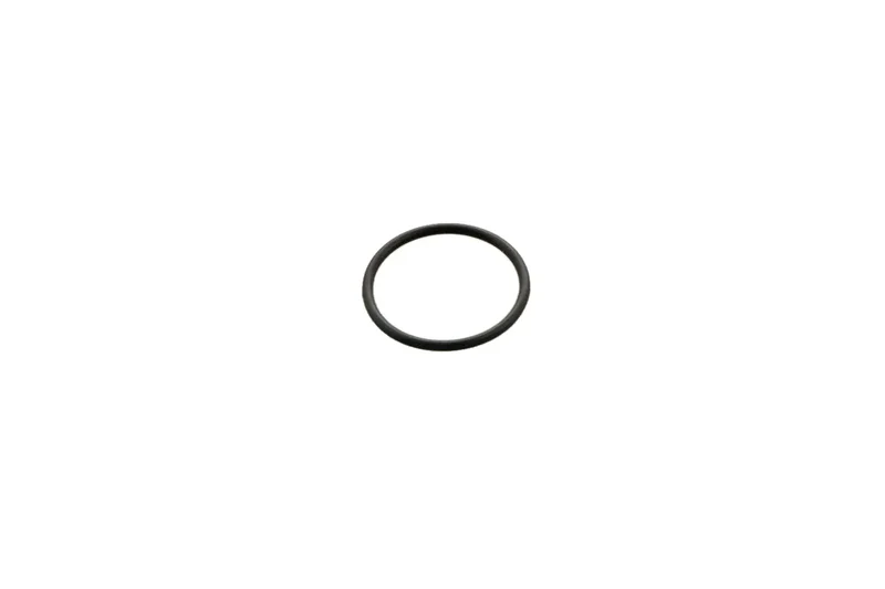 Minicam 13mm Id X 1mm Cs O-Ring