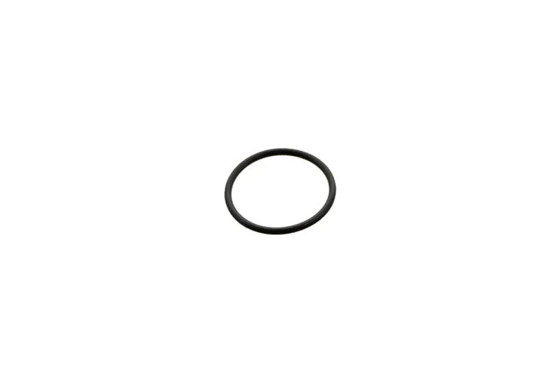 Minicam 14mm Id X 1mm Cs O-Ring (Camera Lens)