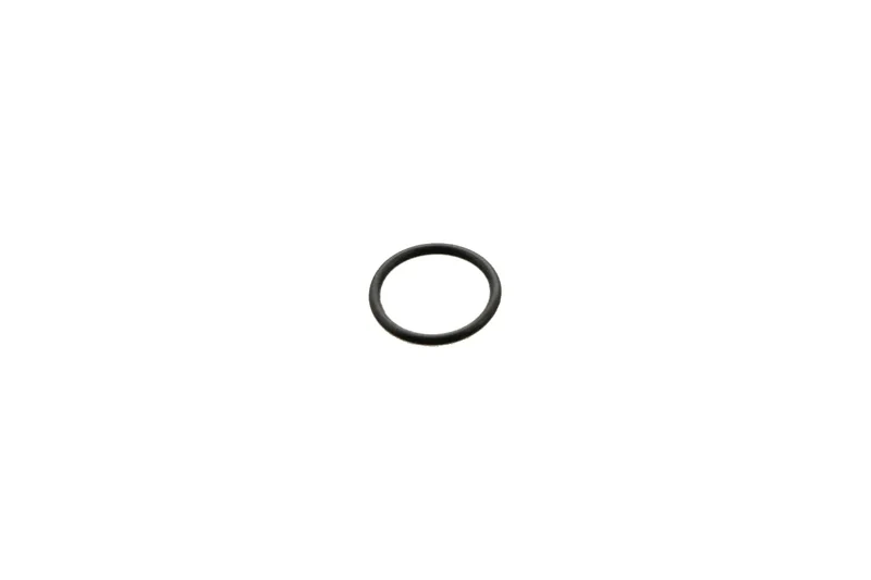 Minicam 10mm Id X 1mm Cs O-Ring