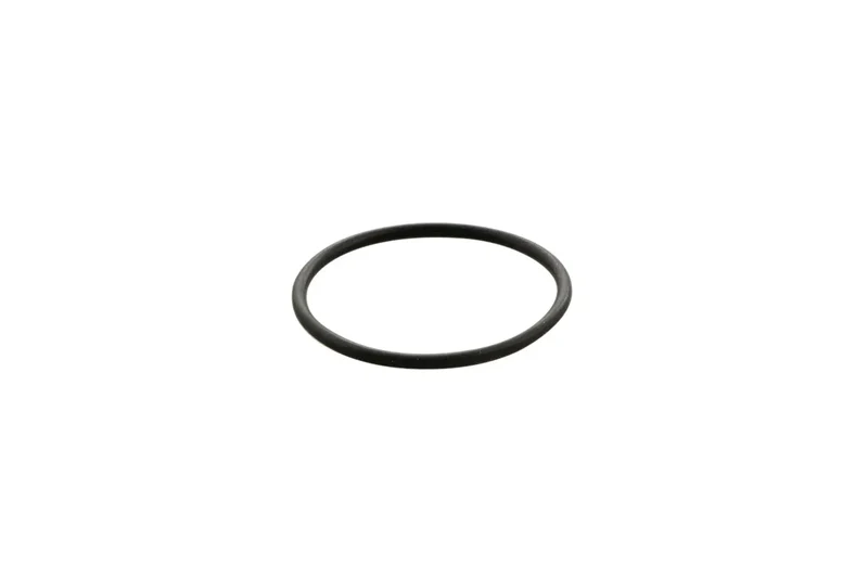 Minicam 23mm Id X 1.5mm Cs O-Ring