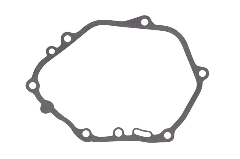 HOMELITE Pressure CLEANER PACKING Case Cover-HPW260-Genuine