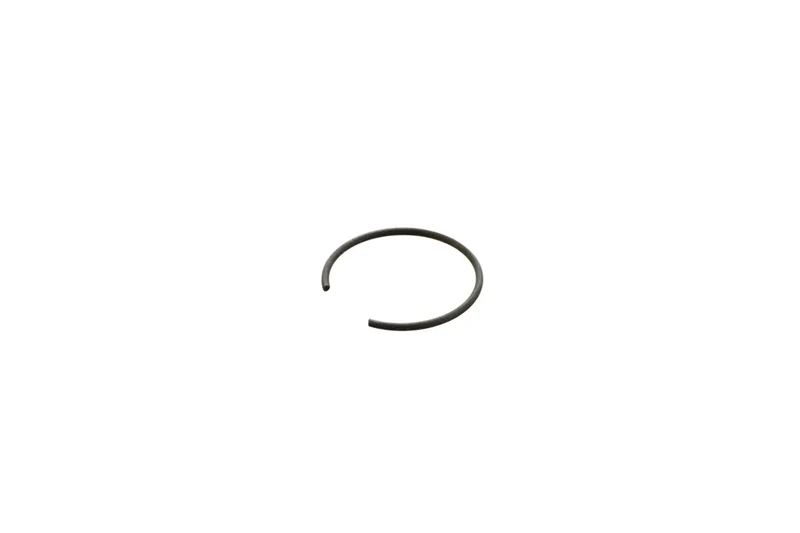 HOMELITE Pressure CLEANER Clip PISTON-HPW2600-Genuine