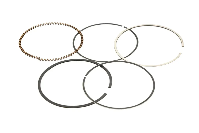 HOMELITE Pressure CLEANER SCRAPER Ring Set PISTON-HPW2600-Genuine
