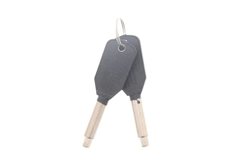 VINTEC WINE CABINET KEYS NSX Set Of 2 KEYS-Genuine